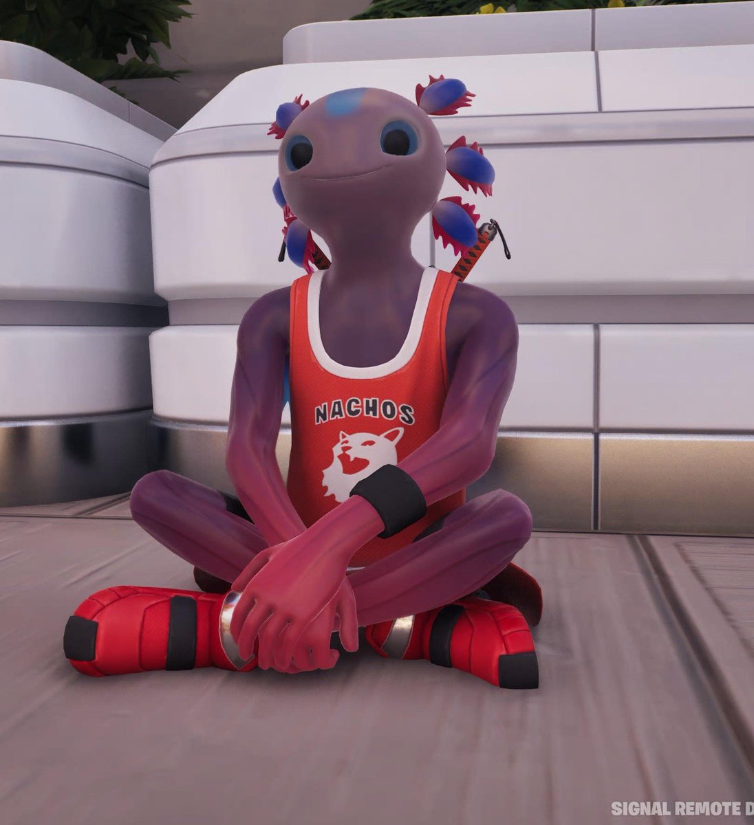 WinterFolfXL's tweet photo. Axo Axolotl :3

#Fortography #Axo https://t.co/YtNokEde4X
