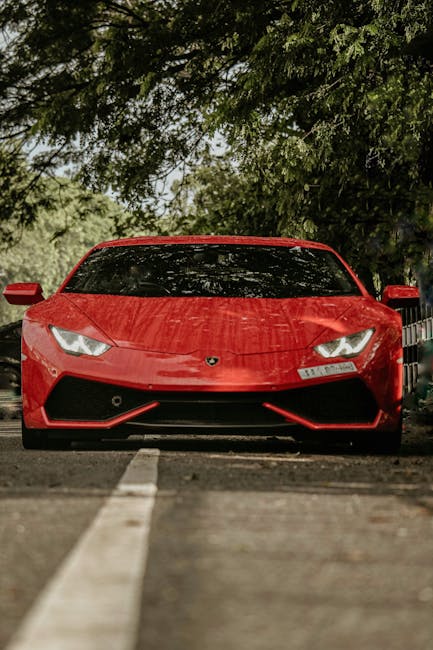 Kenya Aloe tweet media