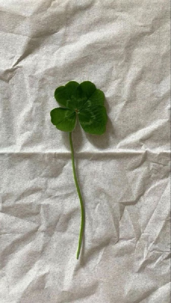 pozitifevibe's tweet photo. RETWEET THIS LUCKY 4 CLOVER LEAF FOR GOODLUCK AND FINANCIAL BLESSINGS! 🍀 https://t.co/m6xai0BSfj