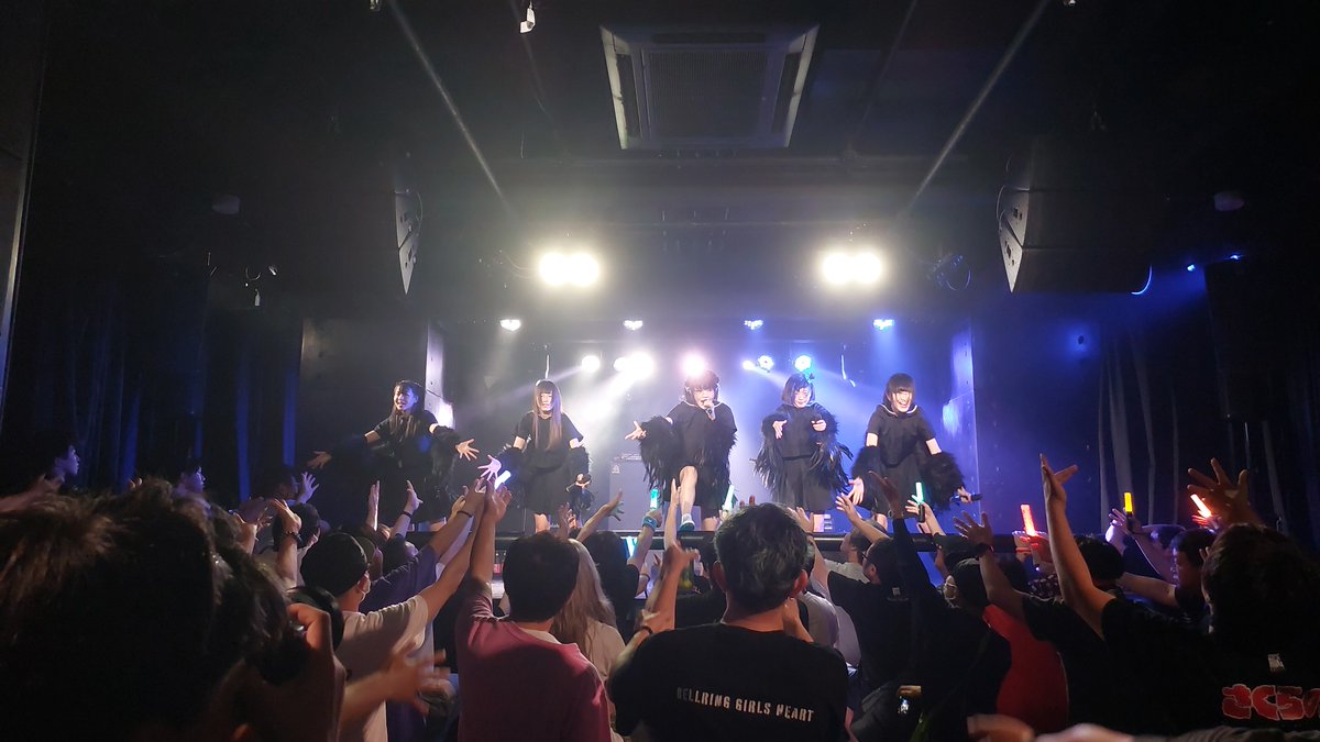 ronronron's tweet photo. 飛び立て　光あふれる世界になれ https://t.co/SN4mjxkNdl