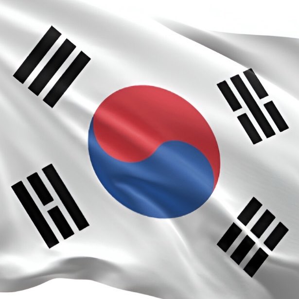 choquei's tweet photo. 🚨MUNDO: Coreia do Sul tem “sites de dopamina” que permitem fazer compras falsas para sentir a emoção da compra sem gastar dinheiro. https://t.co/tO8AcA40lH