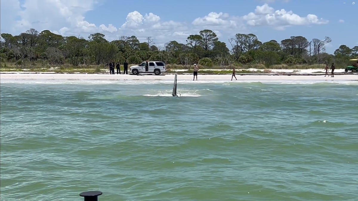 ButlerOnDrones's tweet photo. Small plane lands in water off Honeymoon island

https://t.co/47naLplB7A https://t.co/xmL5GsbP3q