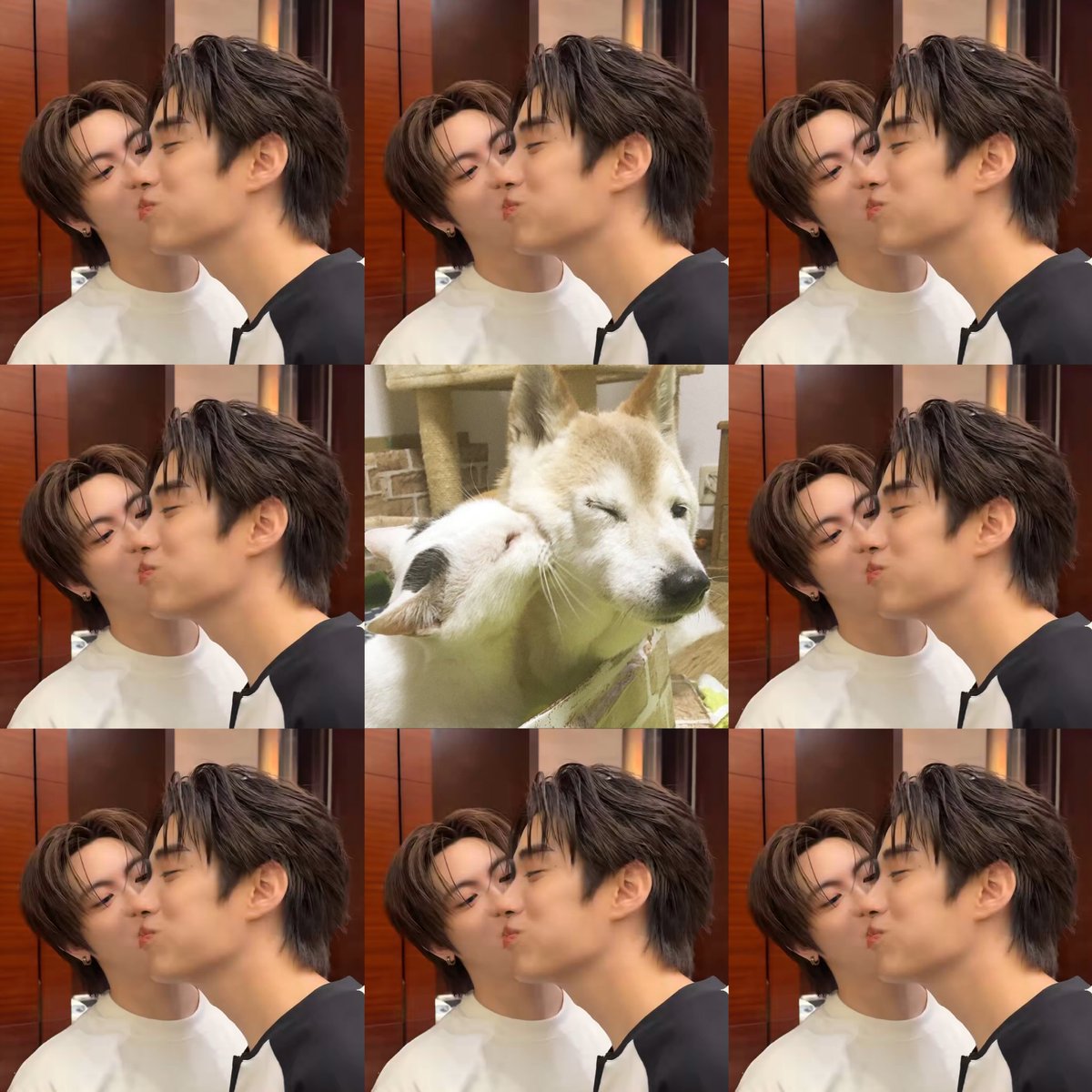 demkorsx's tweet photo. เมะแก้มหอมมากมั้ยอะ 🐶 https://t.co/pJsJnIgUpr