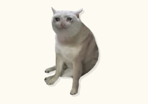0xNinex's tweet photo. Some memes invent stories

$CASHCAT already has one

A mascot that existed before the movement, now returning on Robinhood Chain

https://t.co/dYttzOfYzM https://t.co/KFTeX7XFos