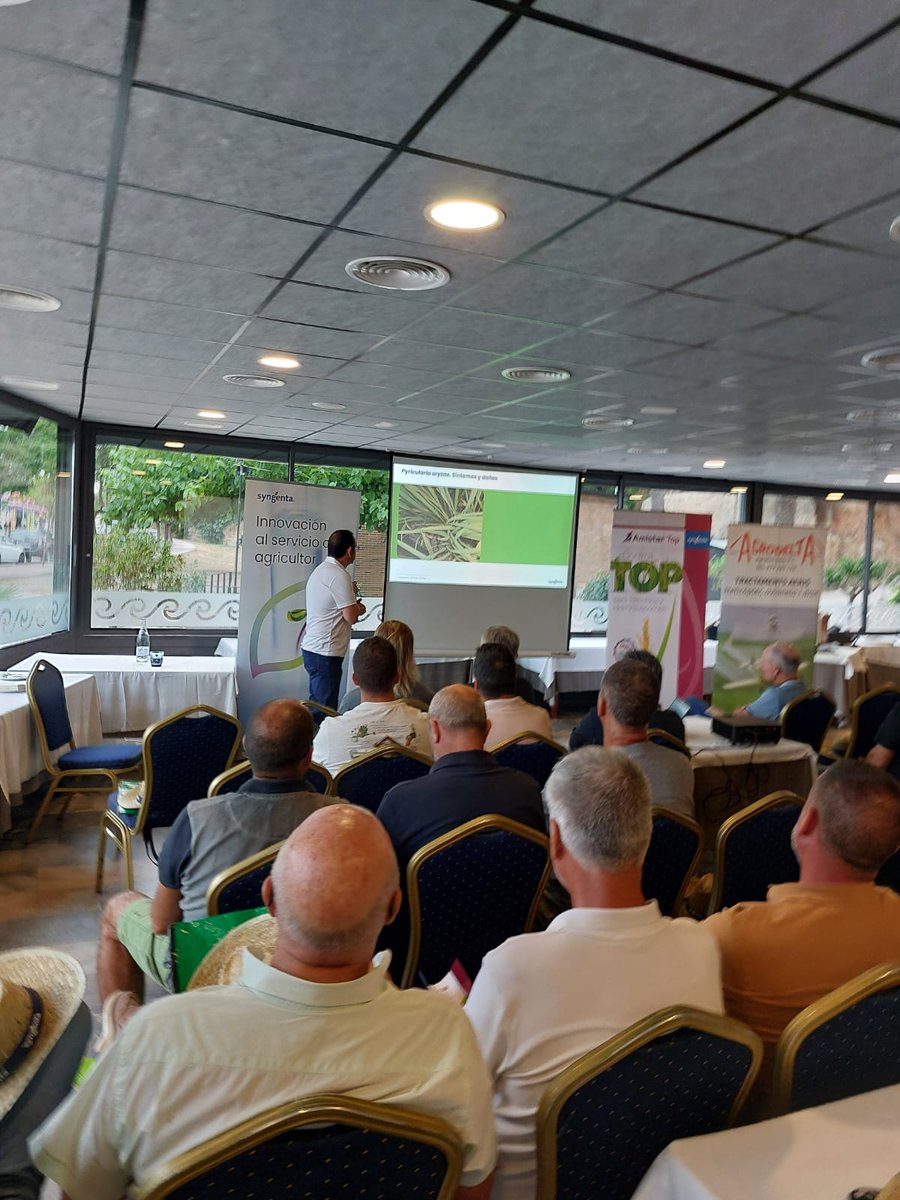 SyngentaES's tweet photo. 📸 Así fue nuestra jornada dedicada al cultivo del arroz, donde compartimos con los asistentes las soluciones de Syngenta para afrontar algunos de los principales retos del cultivo.

Durante la sesión nos centramos en el control de enfermedades clave como la Piricularia y la Helmintosporiosis, destacando la importancia de actuar en los momentos clave del cultivo para maximizar la eficacia de los tratamientos.

Además, presentamos Amistar Top, con su doble acción frente a las resistencias, una solución diseñada para mejorar el control de estas enfermedades y contribuir a proteger el potencial productivo del cultivo.

🤝 Gracias a todos los agricultores y profesionales que nos acompañasteis y participasteis en esta jornada. ¡Seguimos trabajando juntos por un arroz más sano y productivo!