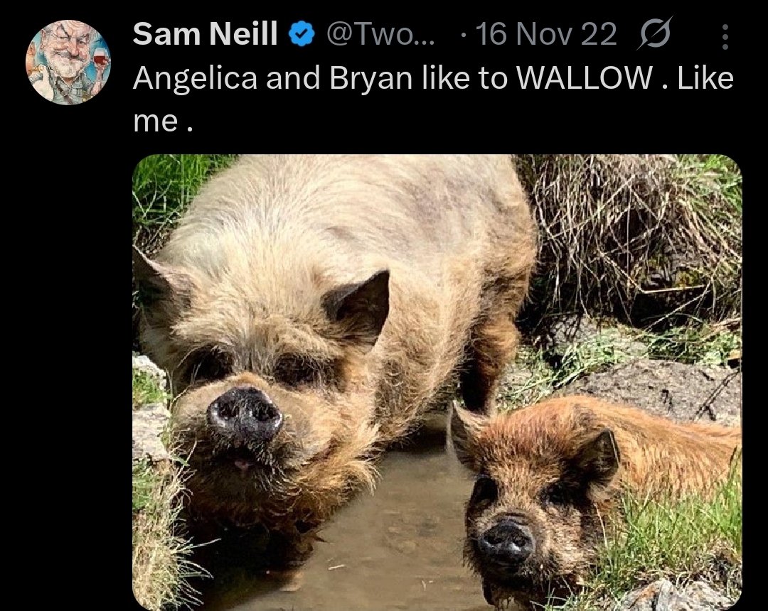 TheLocalMaxTax's tweet photo. Big fan of how a lot of his posts on this site were just whatever was happening on his farm that day. https://t.co/psuREGTPBW
