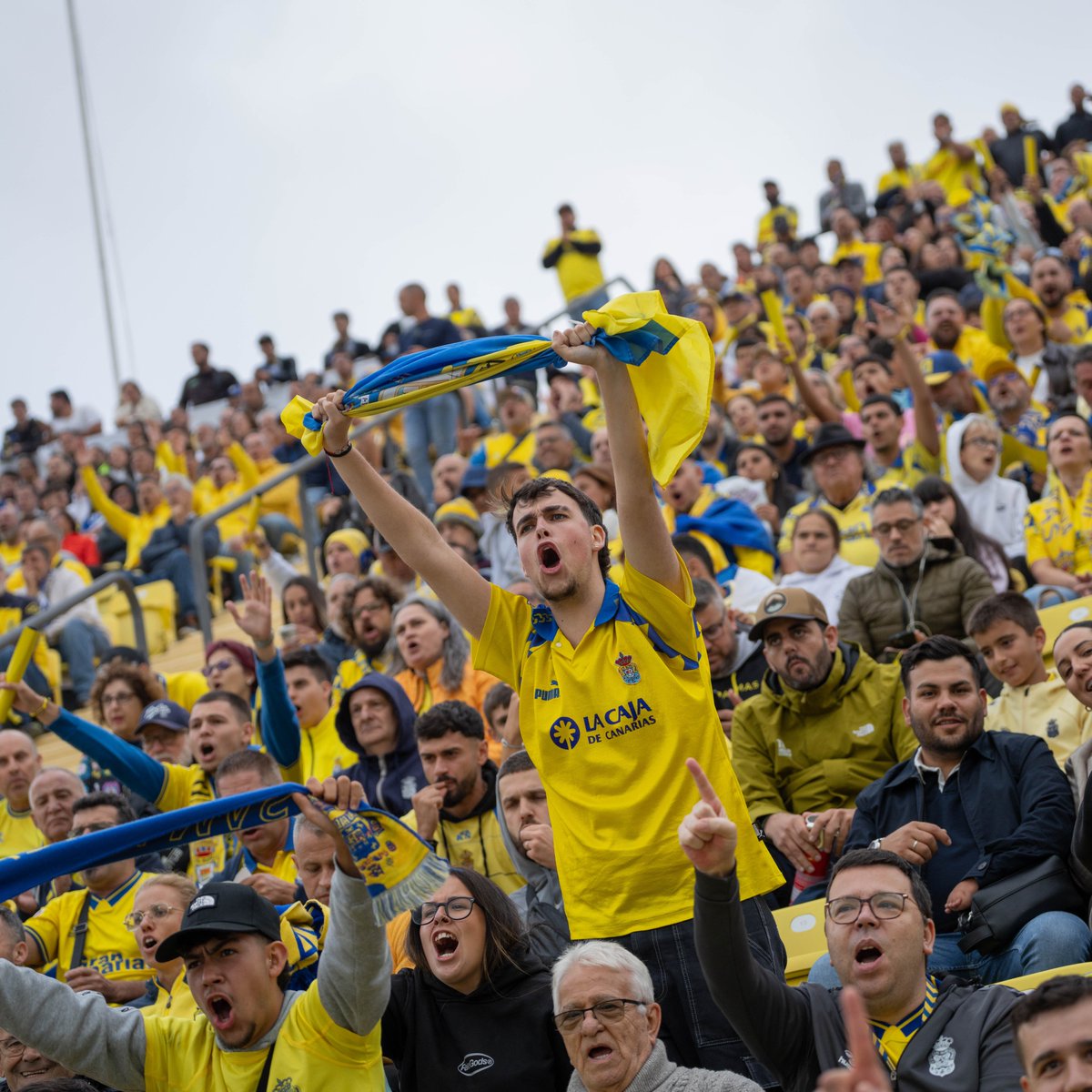 UDLP_Oficial tweet picture