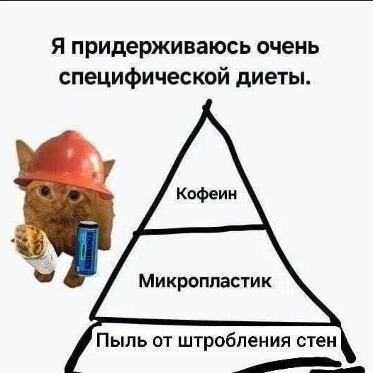 lastbirdofsouth's tweet photo. Ну мы https://t.co/qMCzOuNHxT