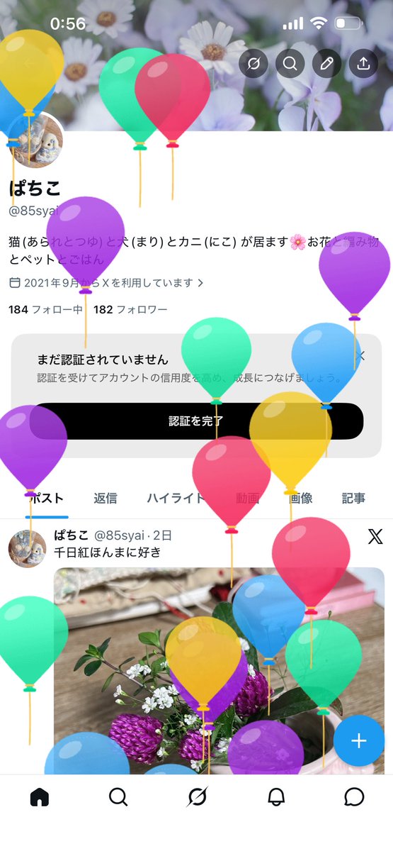 85syai's tweet photo. 27回誕生しました！祝ってね！そんで仲良くしてね！ https://t.co/tO9pHGUn3B