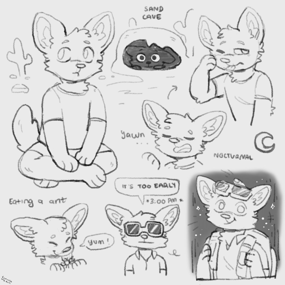 ✦ 𝗧𝗼𝗯𝘆 ✦ tweet media