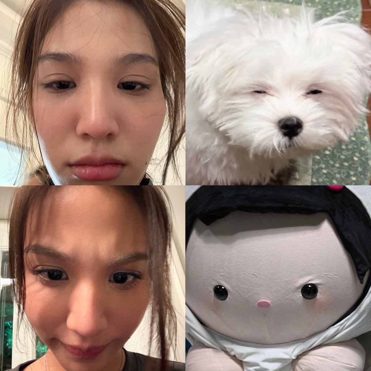 clocking2much's tweet photo. “when mae gets stressed” DNA ✅

#beonnnie #ANY #lilmuju https://t.co/EGtYUsUHyi