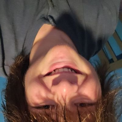 Dylan tweet media