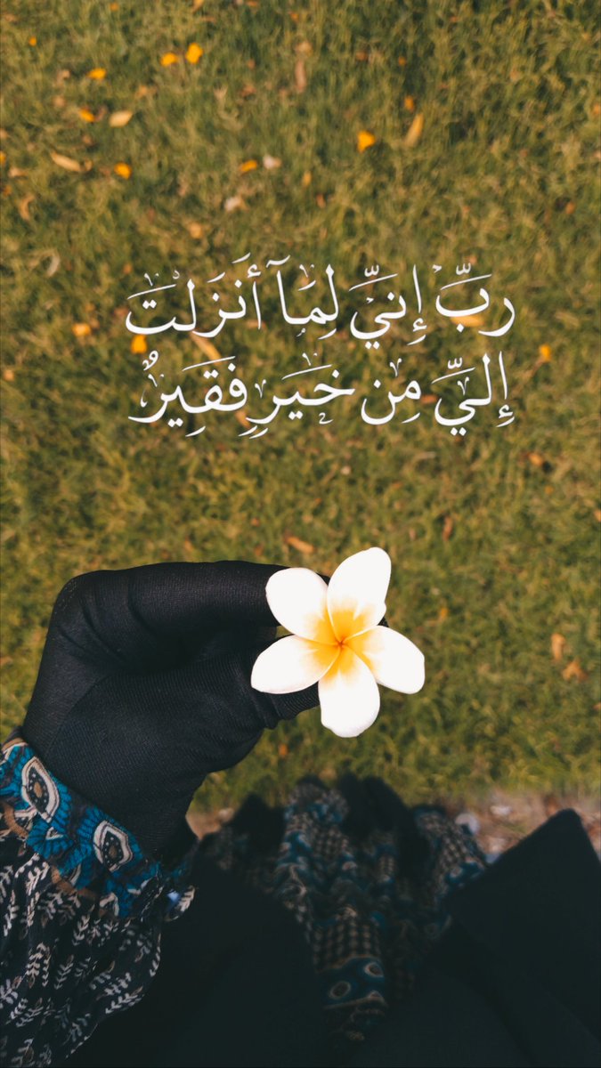 nadaragab50's tweet photo. 🤍 https://t.co/BKmxcvwvOE