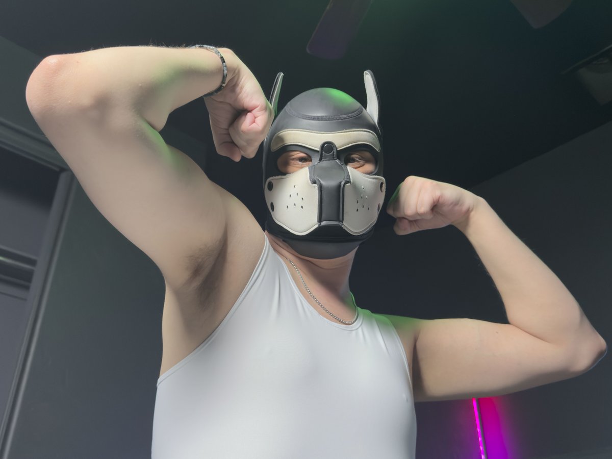MUTTWARE's tweet photo. bark for me boy https://t.co/uNlKEU4rEk