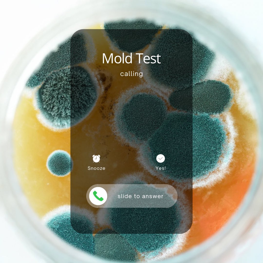 DryEffect's tweet photo. Do you always need mold testing?

No. If you can see it you already know.

But if someone in your home is unexplainably sick, something smells off after water damage, or you are buying a house — yes. Absolutely.

📞 513-763-2121 #MoldTesting #Cincinnati #DryEffect https://t.co/0ZCH5WinI5