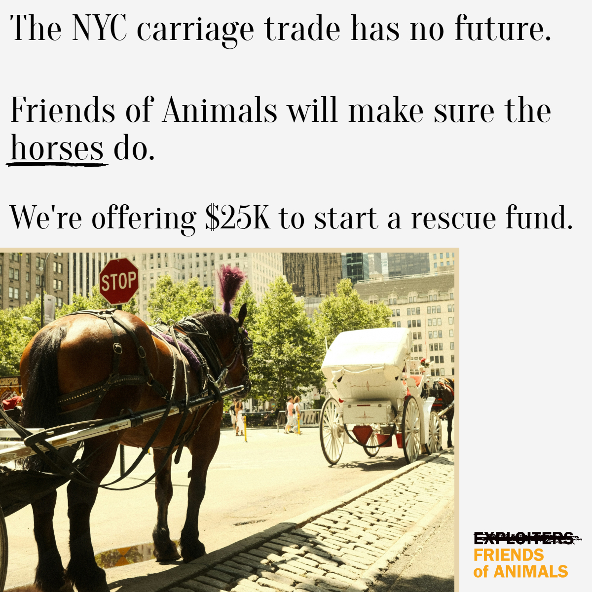 FoAorg's tweet photo. FoA is offering $25k to start a rescue fund for NYC's carriage horses. Read more: https://t.co/rSZ8VIr9gd https://t.co/6u5rcL6m7M