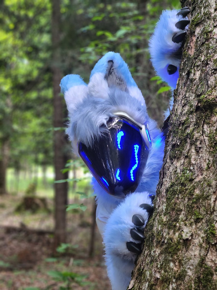 Blake~ 🔜 Canfur, FBL tweet media