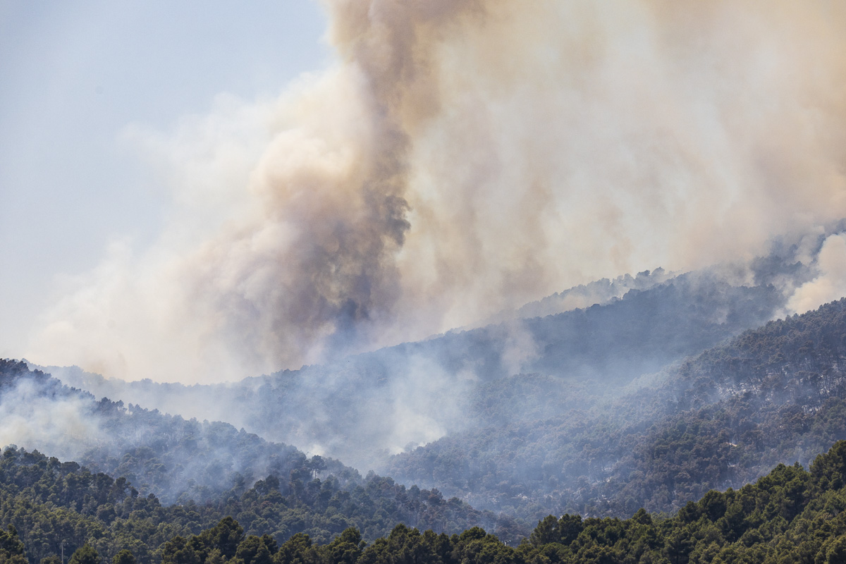 AjCaldesMontbui's tweet photo. 😍💪 Extingit l’incendi de Sentmenat

💬 Els Cos de Bombers ha notificat que dona per extingit l’incendi de Sentmenat que ha afectat el terme municipi de Caldes i que ha cremat més de 200 hectàrees

ℹ️ Més informació a 👉 https://t.co/5MLnTTWkGx https://t.co/NpfXo9LIzL