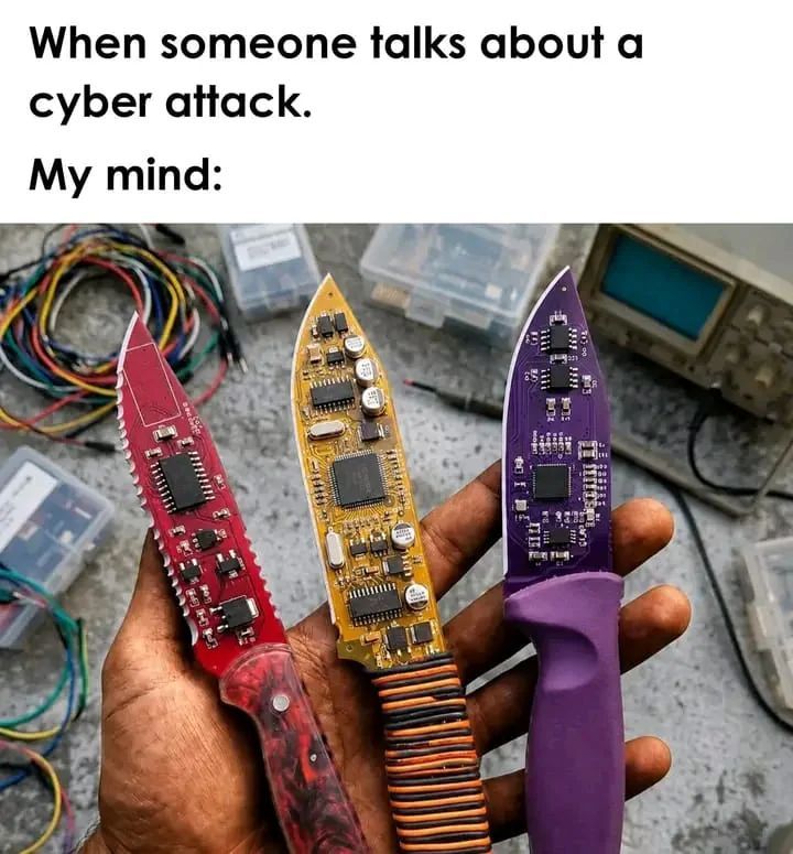 WildComputers's tweet photo. https://t.co/zYVPJmT3DK