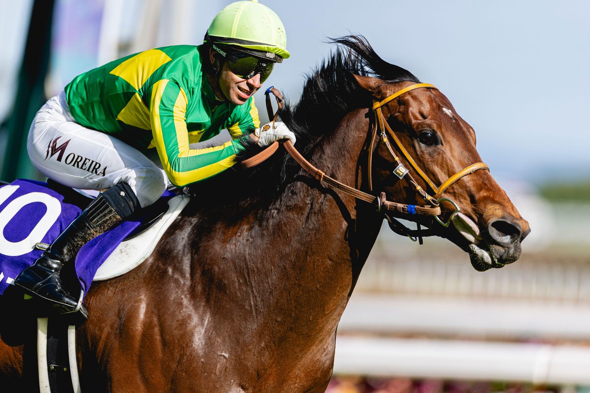 Timeform tweet media