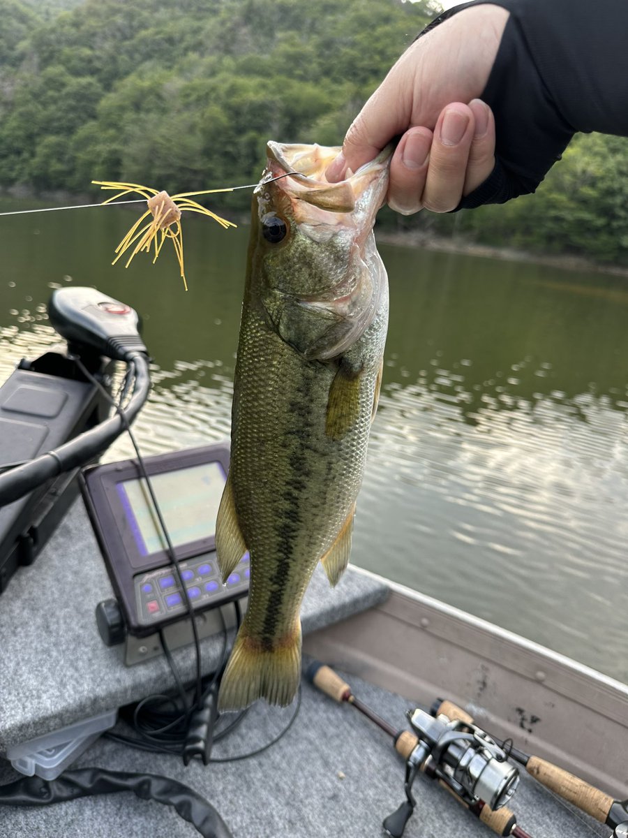a_tnhs's tweet photo. 4時間ほど浮かんできました🎣

すごい濁りだったけどなんとか釣れました😊 https://t.co/OZlZxN7uLo