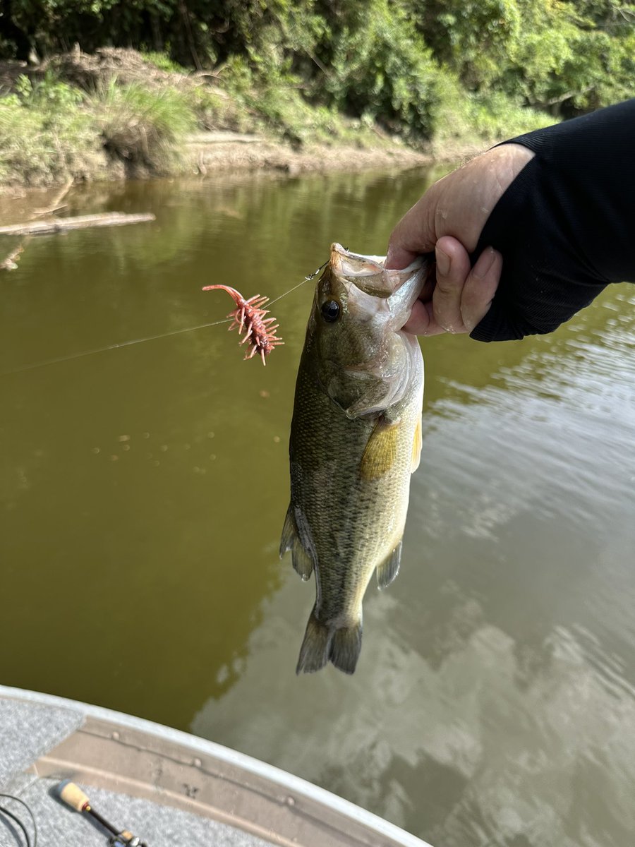 a_tnhs's tweet photo. 4時間ほど浮かんできました🎣

すごい濁りだったけどなんとか釣れました😊 https://t.co/OZlZxN7uLo