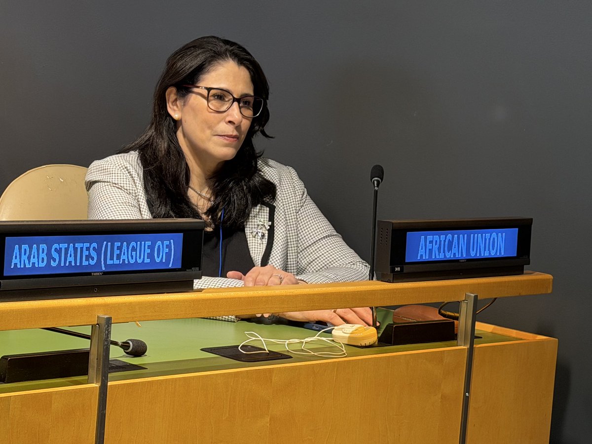 African Union Mission to the UN tweet media