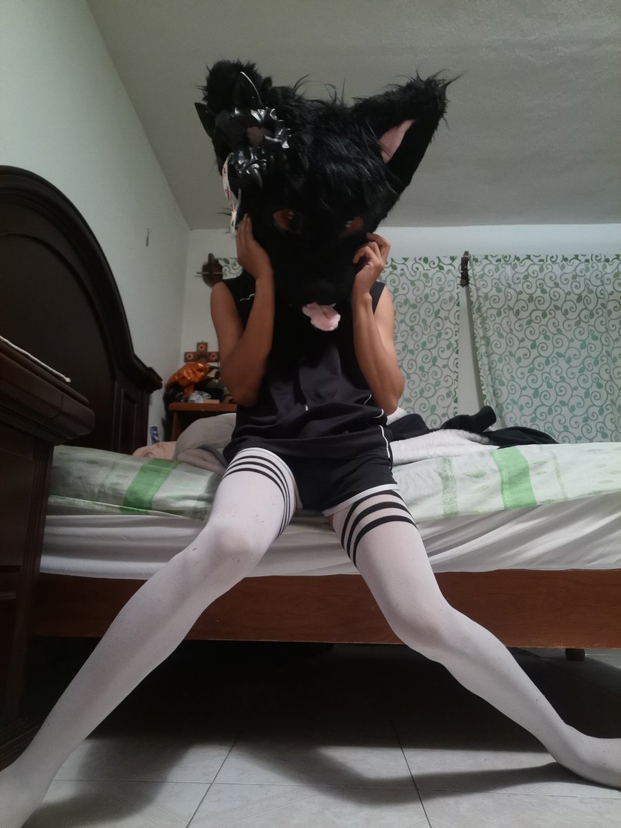 ShadowFoxsUw's tweet photo. #MurrsuitMonday uw nyaa just a hyperative femboy fox playing uw https://t.co/HoLpCsTbpu