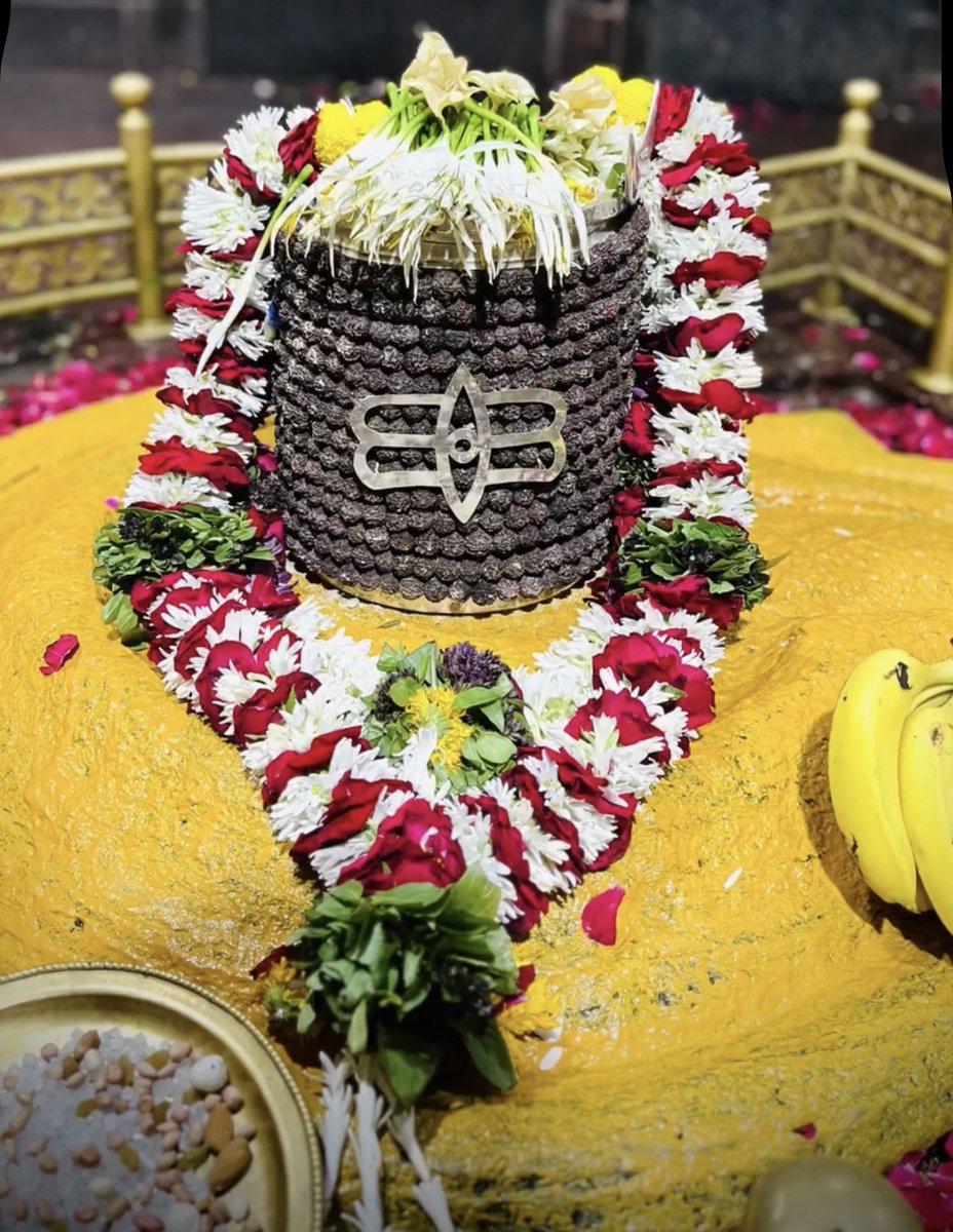12Jyotirling's tweet photo. श्री घृष्णेश्वर ज्योतिर्लिंग संध्याकालीन आरती श्रृंगार | 13.07.2026

Shri Grishneshwar Jyotirlinga Evening Aarti Shringar | 13.07.2026 https://t.co/Q5zYPdADQ2