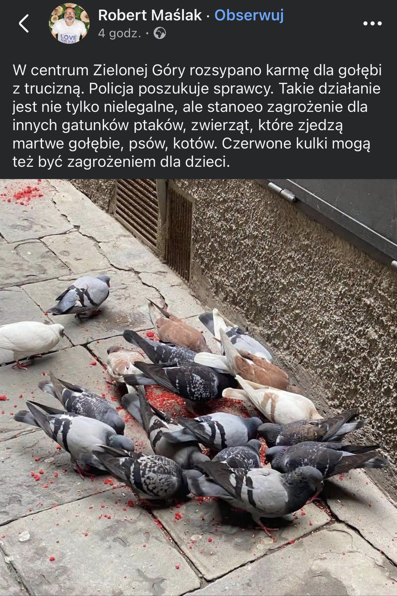 klaudyniarz's tweet photo. Boże nienawidzę ludzi, co wam winne są bezbronne zwierzęta…. https://t.co/ABdeDIR6Kd