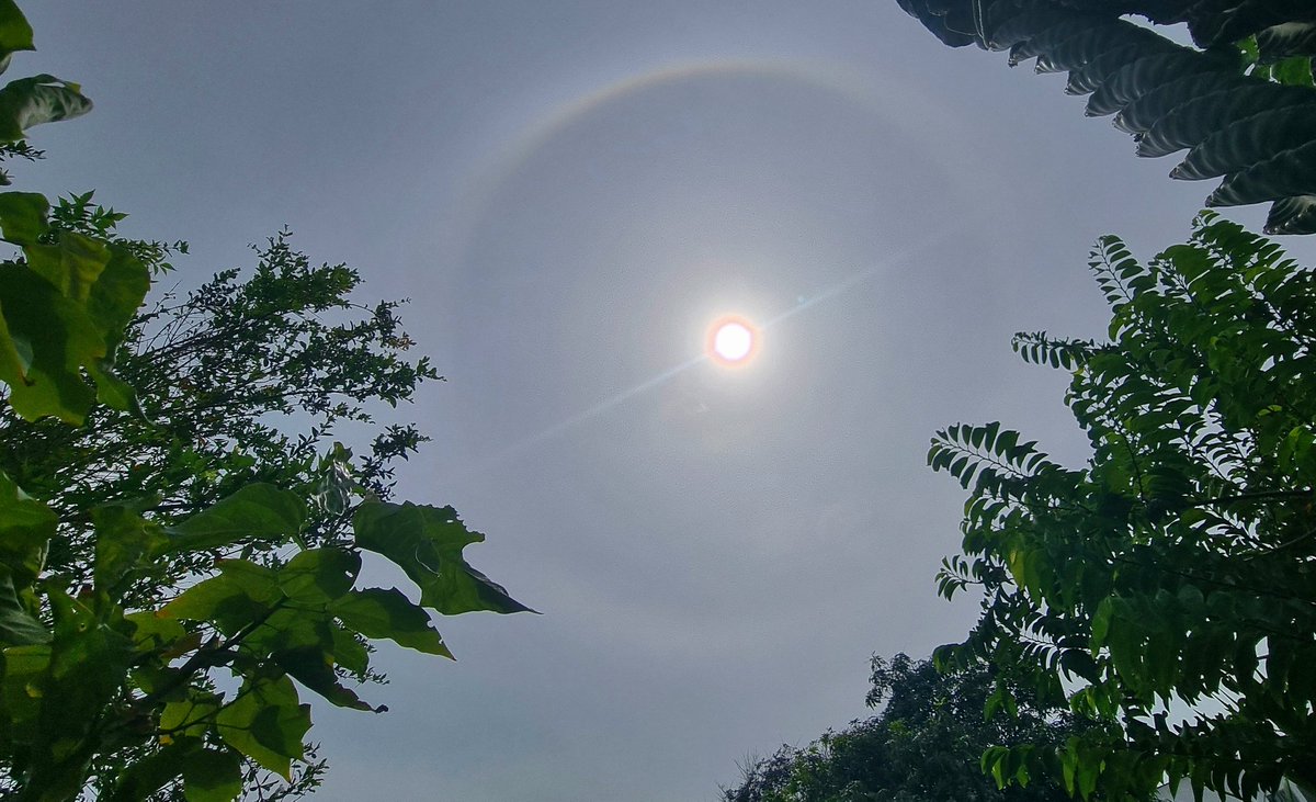 BUSCADOR1373's tweet photo. #mitiempoideam #FelizLunes 13/06/2026, 9:45 h. Halo solar visto desde el norte de la ciudad. @IDEAMColombia
@EdPiotrowski @wilcheschaux @GracianaXXI @rodrimartut @_iclima @TxStormChasers @Meteovargas @AerocivilCol @AerBarranquilla @HaloSolarMx @Climawcosta https://t.co/x7FAH5H9QS
