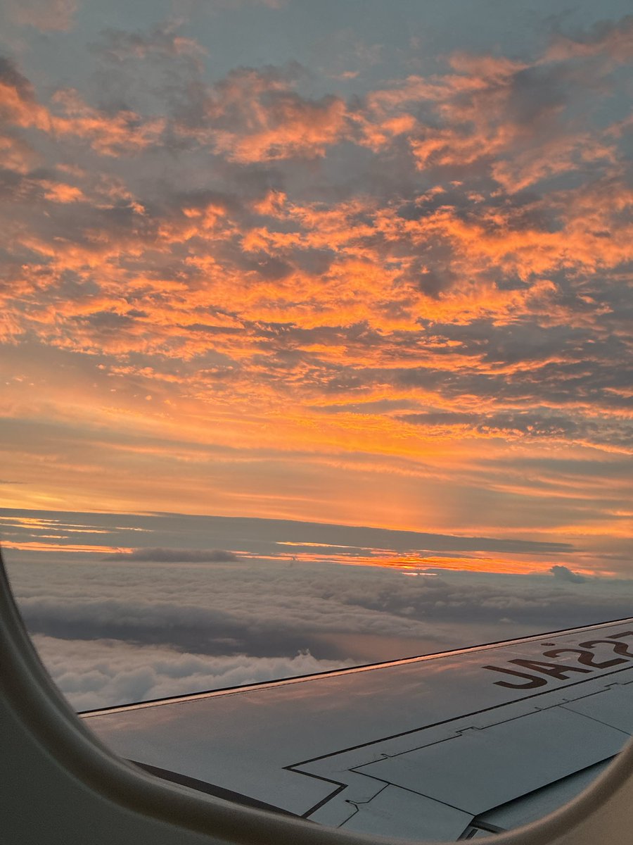 mikeacat3's tweet photo. あっというまの1泊2日の旅だったな〜✈️札幌、東京よりだいぶ行きやすいことがわかったので今後の候補🧡旅の写真たくさんあるけど出しても仕方ないのでこのくらいで((( https://t.co/ndCjvYIBuT