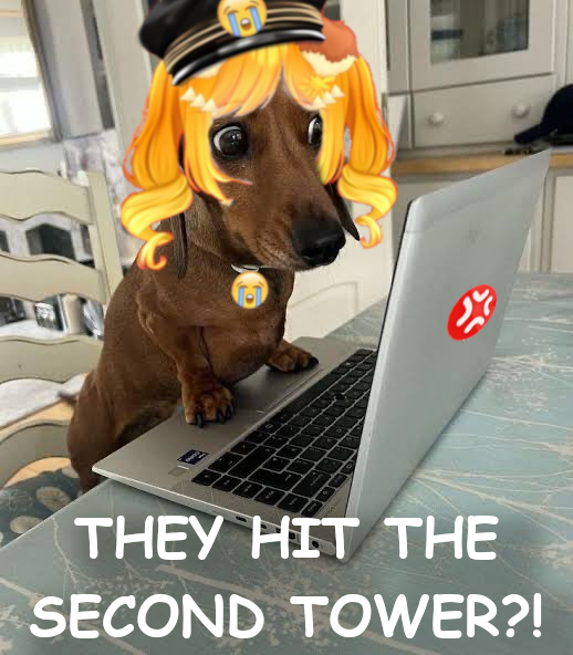 Nachochipu🐾🧀💢 ???(REDEBUT:8/1) tweet media