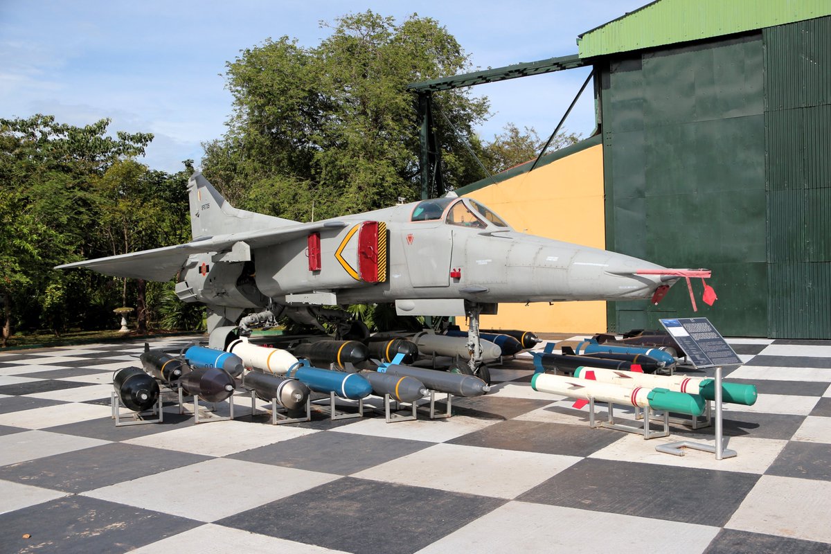 Frog 72 tweet media