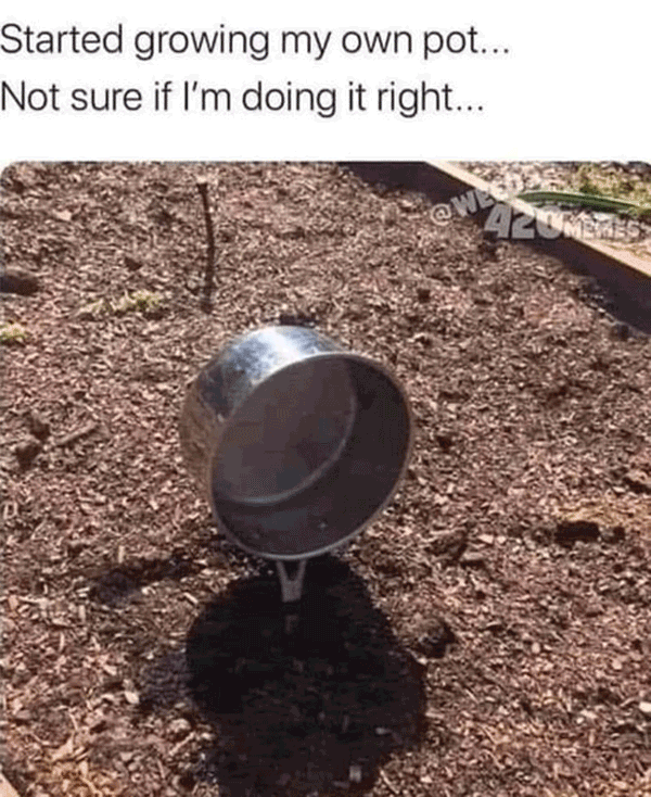 arizonapottery's tweet photo. Garden Humor - had to share! https://t.co/jvml7h2xwN