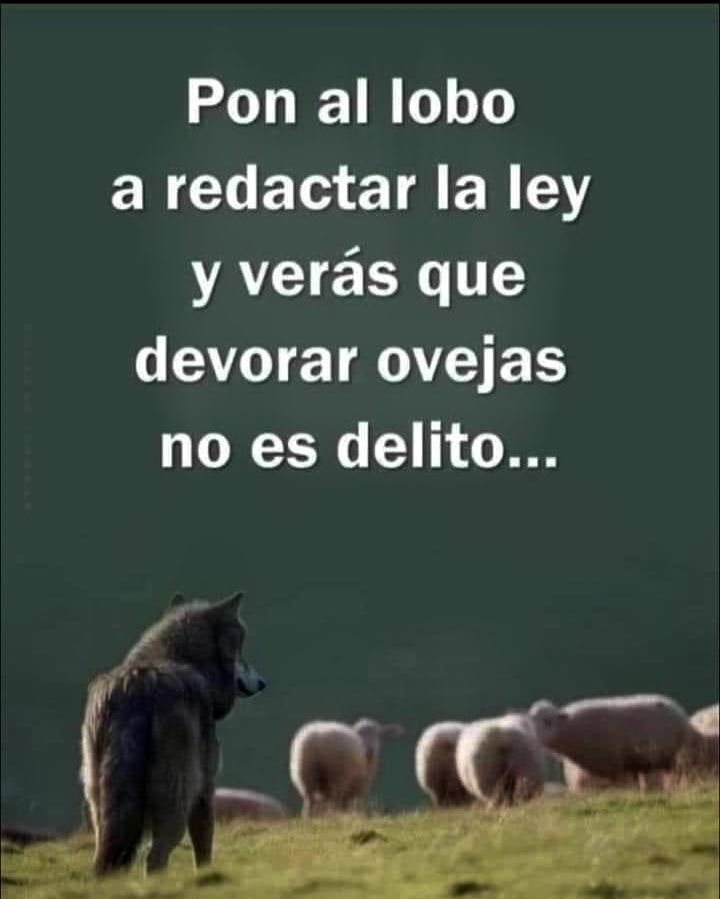 Jackie2theworld's tweet photo. SCJN y Jueces del acordeón.😡 https://t.co/HRwri2Ueei