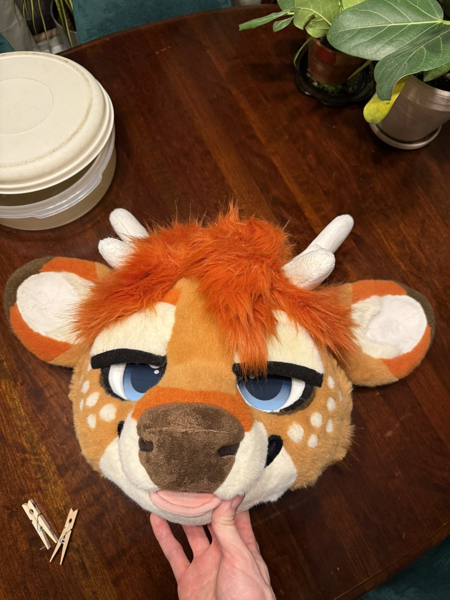 flamethefawn's tweet photo. he’s happy because i cleaned him :3 https://t.co/V1Qang7UR7