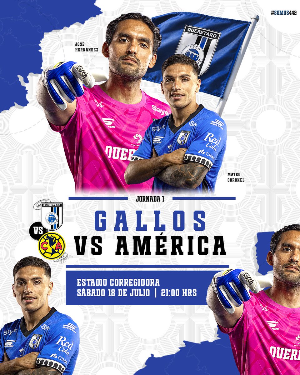Gallos Blancos 🐓 tweet media