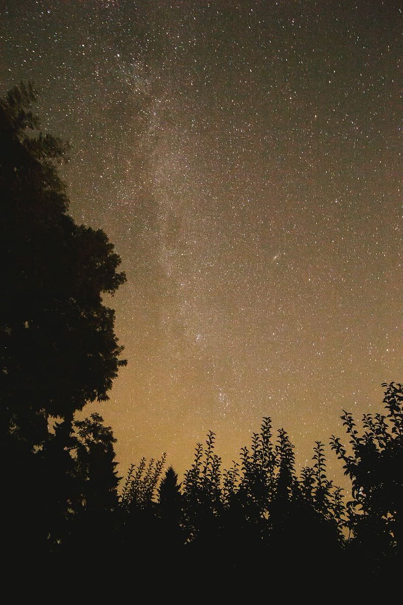 kaktuspooo's tweet photo. 🌜🌟🌛 https://t.co/KlsGdxyZ87