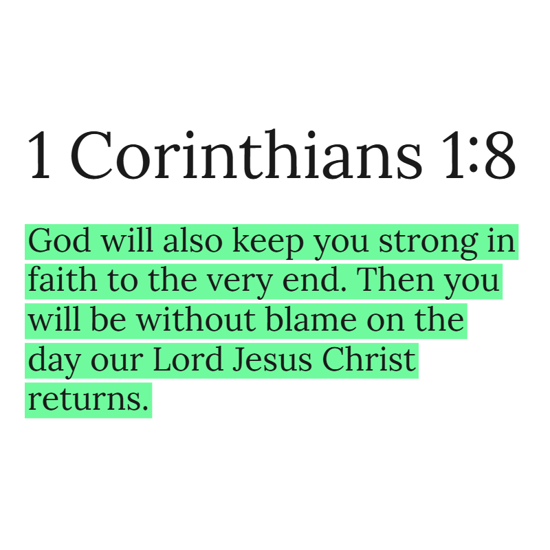 Holy Bible tweet media