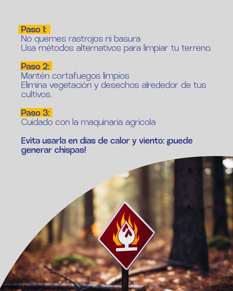 AgriculturaEc's tweet photo. Cuidar nuestros bosques también es cuidar la producción agropecuaria.

Un incendio forestal no solo afecta la biodiversidad; también pone en riesgo cultivos, pastizales, fuentes de agua y el sustento de miles de familias productoras.

Por eso, el Ministerio de Agricultura, Ganadería y Pesca se suma a la Campaña Nacional de Prevención de Incendios Forestales 2026, promoviendo prácticas responsables que contribuyan a reducir los riesgos y proteger el campo ecuatoriano.
Prevenir está en nuestras manos. 

Cada acción responsable cuenta para cuidar la vida, la producción y el futuro de nuestras comunidades rurales.

#ElFuegoEnBuenasManos #MAGP #AgriculturaSostenible #Prevención #CuidemosElCampo