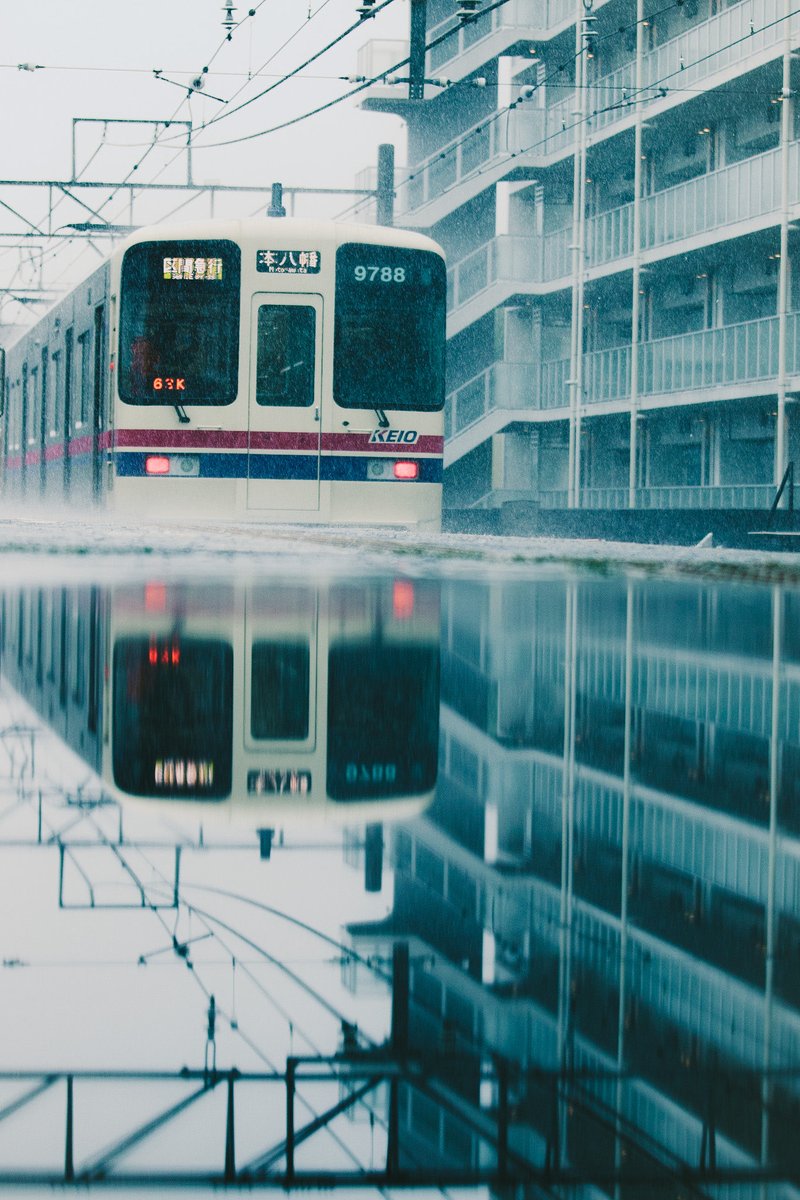 smi_oswa's tweet photo. ☔️ https://t.co/gfPq5obrkI