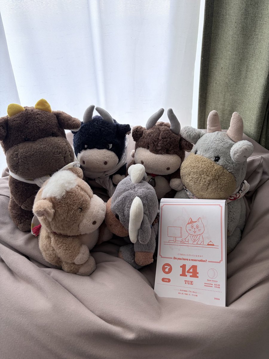 RunAtoippomaeni's tweet photo. おはようございます。牛くんです🐮☀️

今朝はとても暑いですね💦
朝から無理をすると体もびっくりしてしまいます。

のどが渇く前に水分補給をして、
少しだけゆっくり深呼吸。

焦らなくても大丈夫。一歩ずつ進めば、その一歩が今日の力になります。

今日も完璧じゃなくて大丈夫。
できることを一つずつ、一緒に進めていきましょう😊

みなさんにとって、笑顔のある一日になりますように🍀

#牛くん日記 #おはようございます #ぬいぐるみ #水分補給 #熱中症対策 #今日もよろしくお願いします