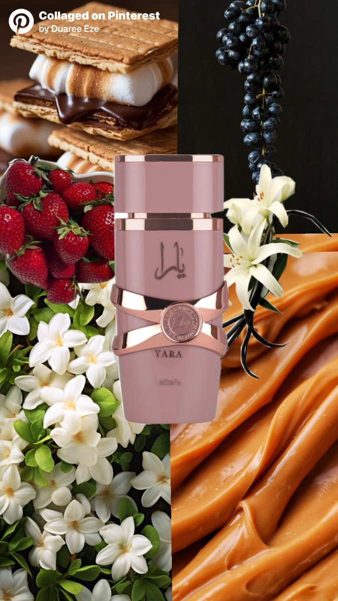 👑EGOOYIBO’M 👑 Aurra Attar Perfume Store🌸 tweet media