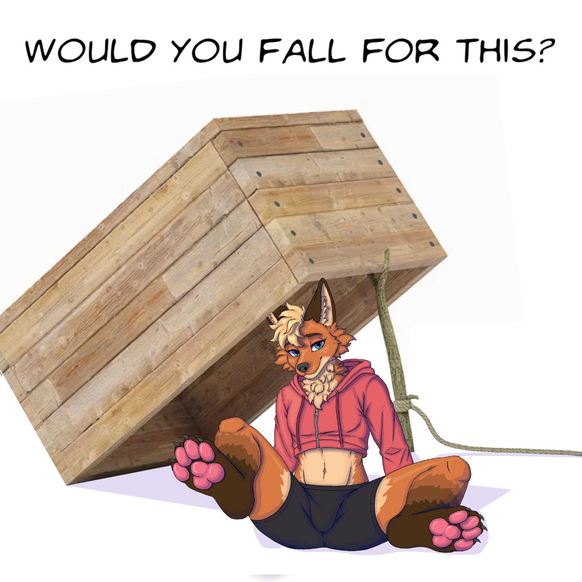 Rustic_Raccoon tweet media