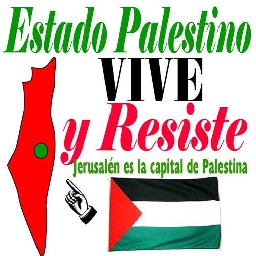 Leer_EnBici's tweet photo. #Jerusalén capital de #Palestina🇵🇸 https://t.co/hLtlVcVJwK