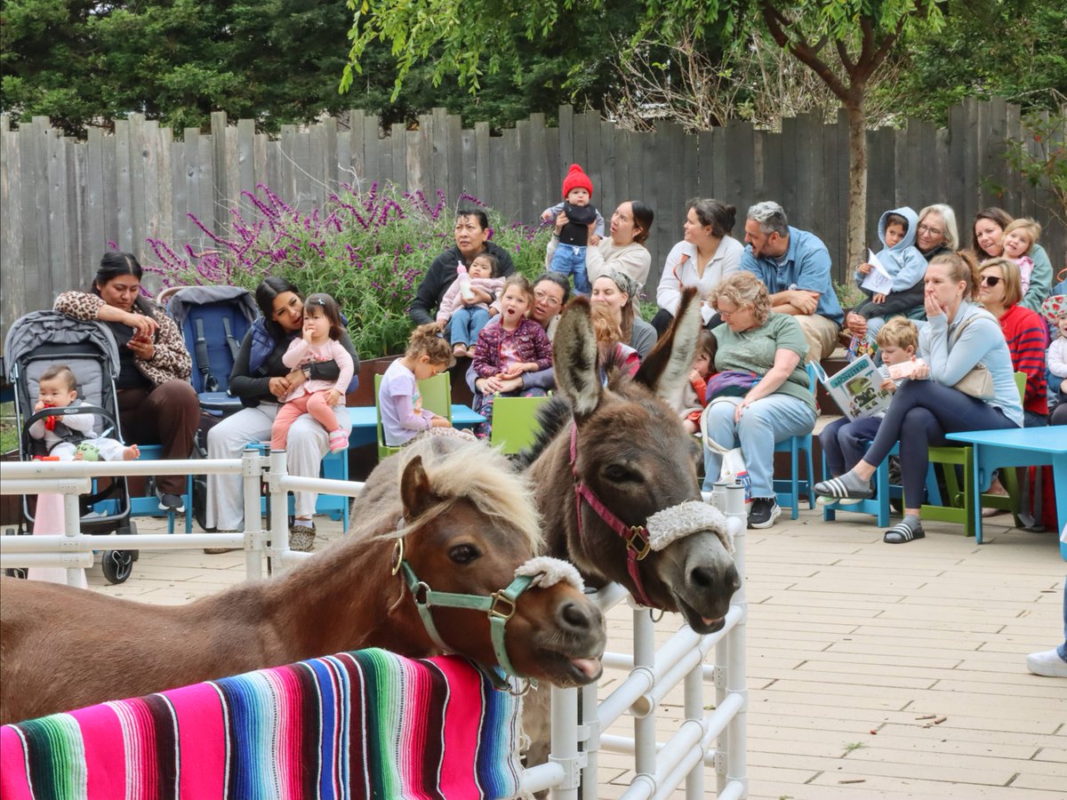 SMCLibraries's tweet photo. These four-legged friends are returning to our libraries! 🤠

Join us at Belmont Library and East Palo Alto Library later this month for an unforgettable storytime for animal lovers of all ages. 🐴

https://t.co/9UyLccYcu0 https://t.co/YcDxfKb9BN