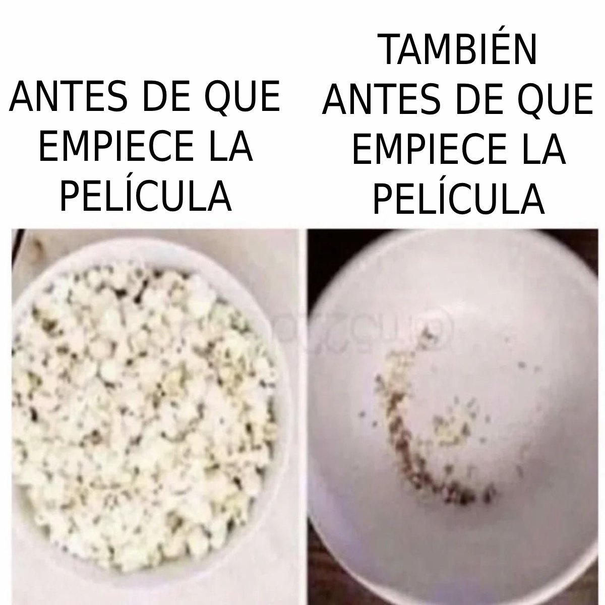 eldiariodedross's tweet photo. https://t.co/kuQ4EgKv5I