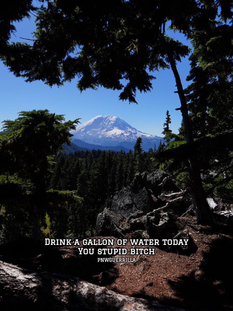 pnwguerrilla's tweet photo. Dear women, Drink more water. https://t.co/Rv33tXRxJl