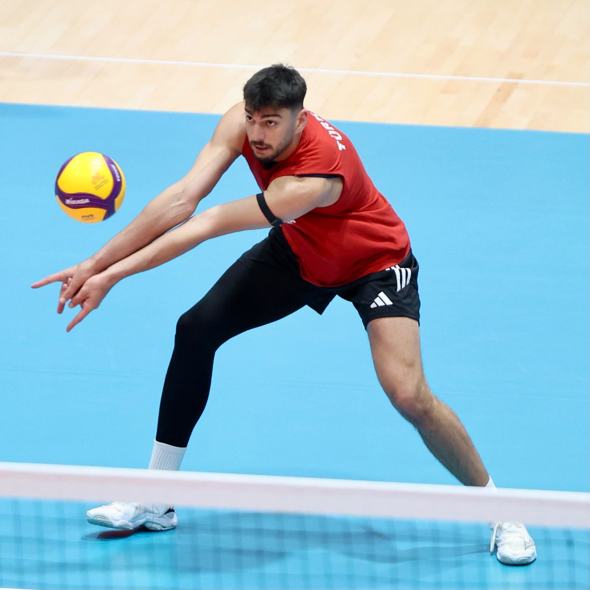 Türkiye Voleybol Federasyonu tweet media